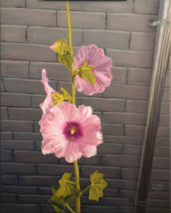 Oil painting of pink hollyhocks in front of a gray brick wall.