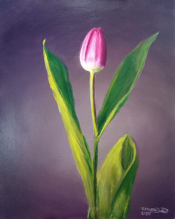Oil painting of a pink tulip on a purple background.
