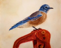 Watercolor painting of a bluebird roosting on a red water pump.