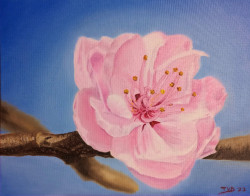 Oil painting of a pink peach blossom on a branch with a blue sky in the background.